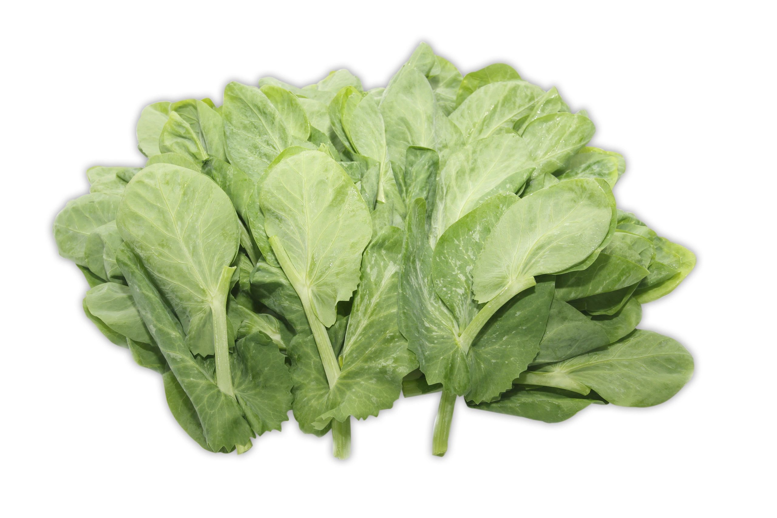 Snow Pea Tips