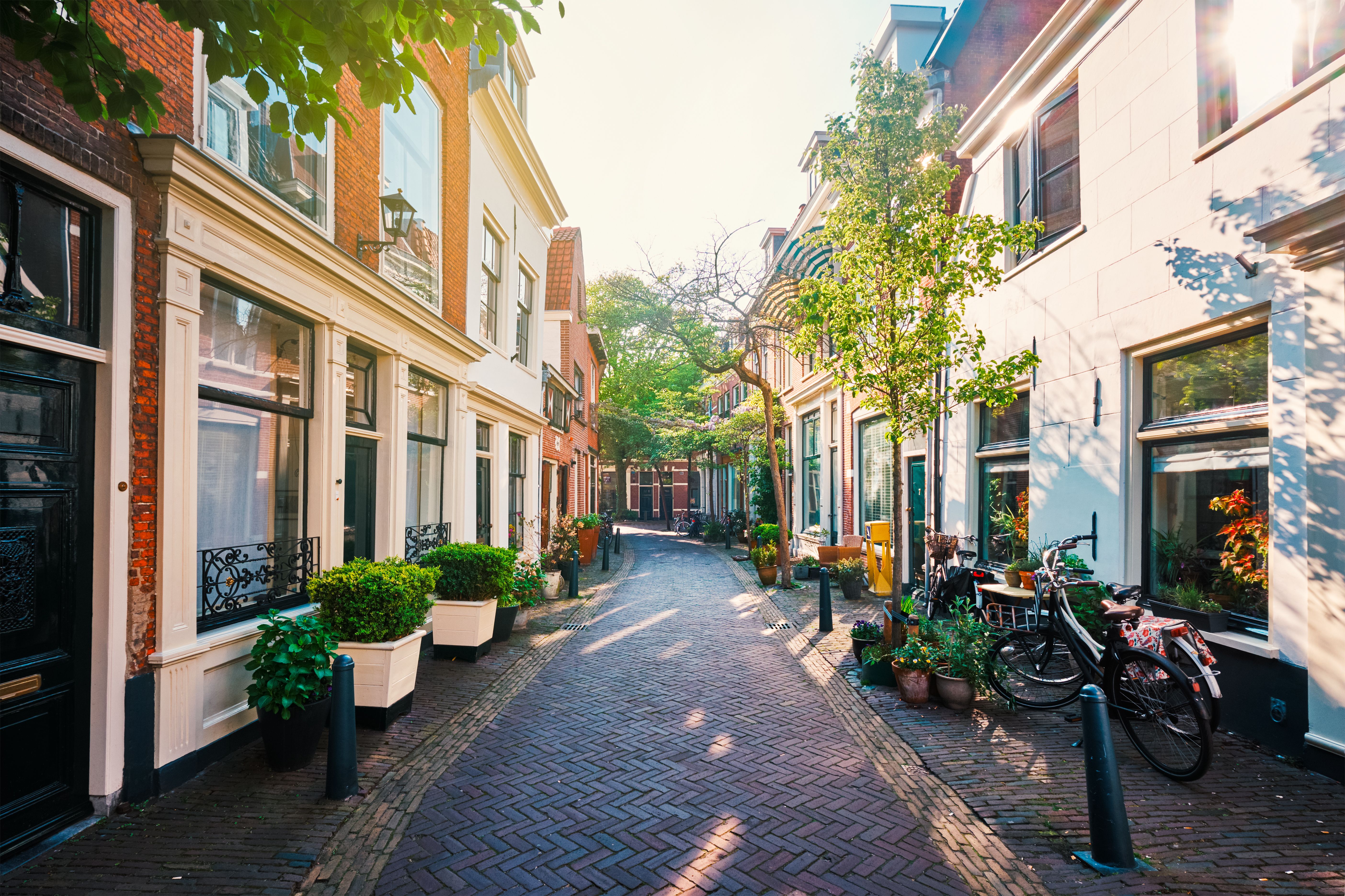 Nederlandse wijk