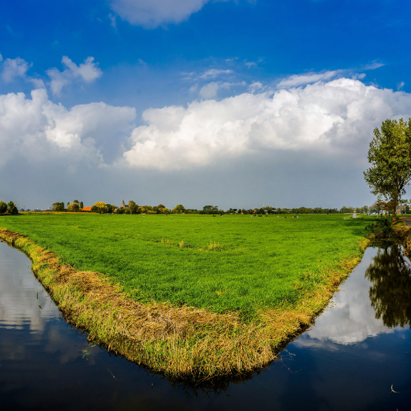 Groen polderlandschap met sloten en weilanden onder bewolkte lucht