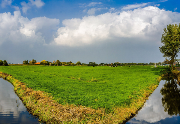 Groen polderlandschap met sloten en weilanden onder bewolkte lucht