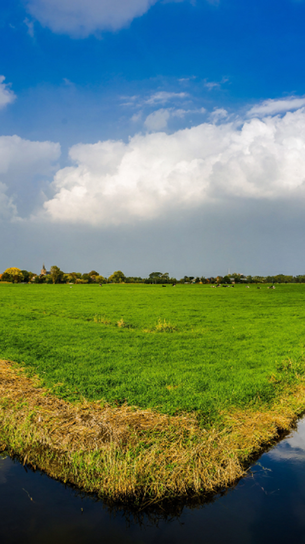 Groen polderlandschap met sloten en weilanden onder bewolkte lucht