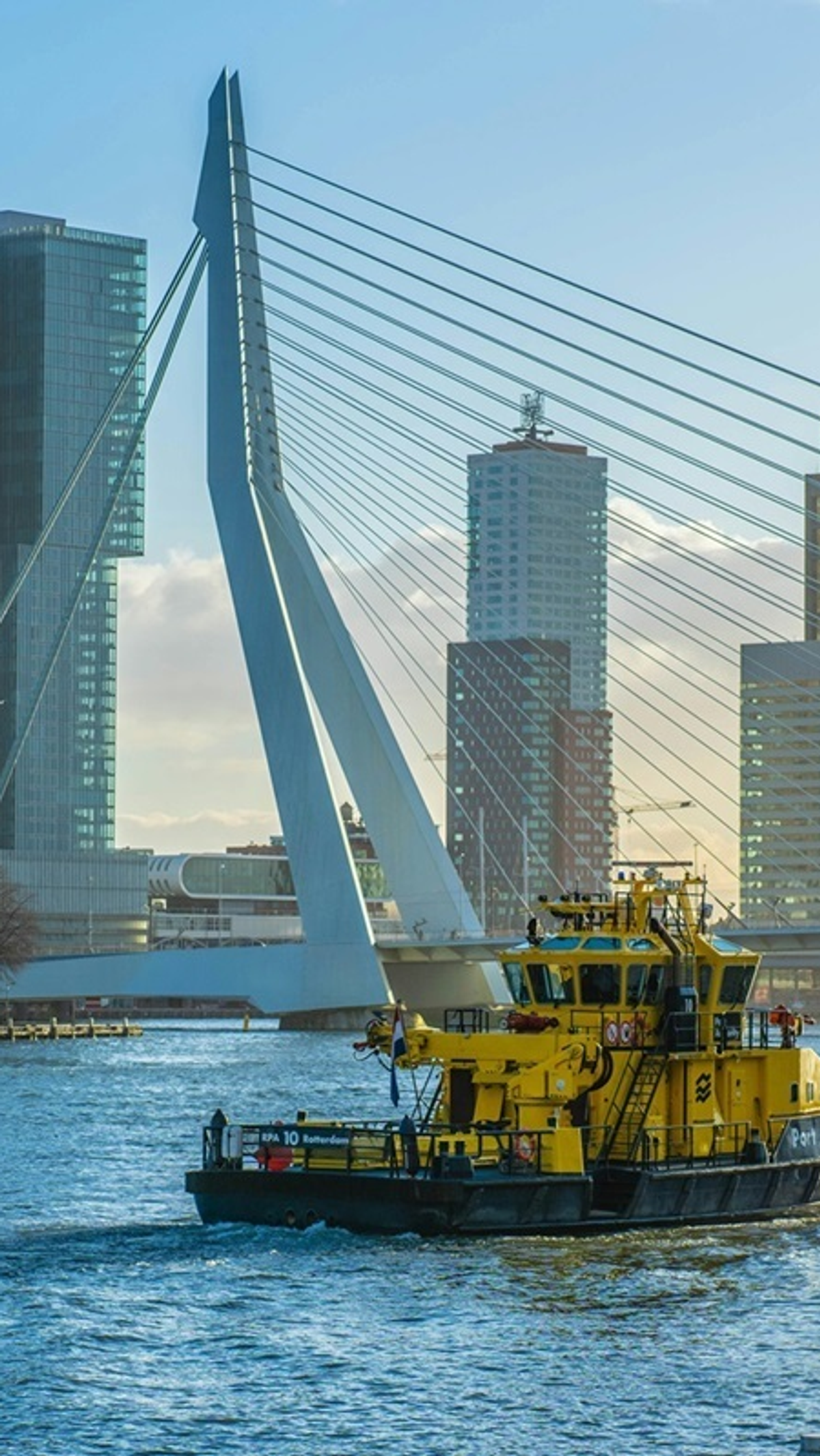 Gele havenboot vaart over de Maas in Rotterdam met op de achtergrond de Erasmusbrug en moderne hoogbouw aan de Kop van Zuid.