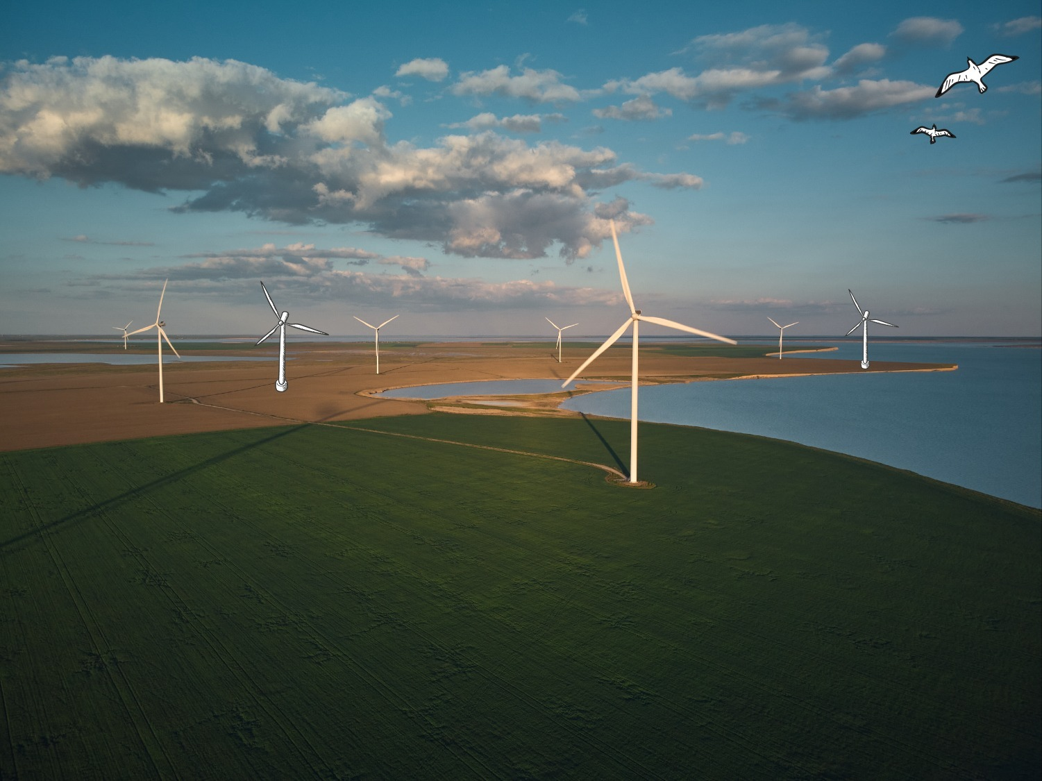 Windmills in a green landscape