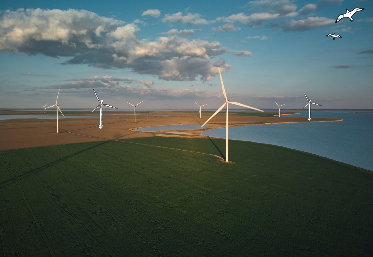 Windmills in a green landscape