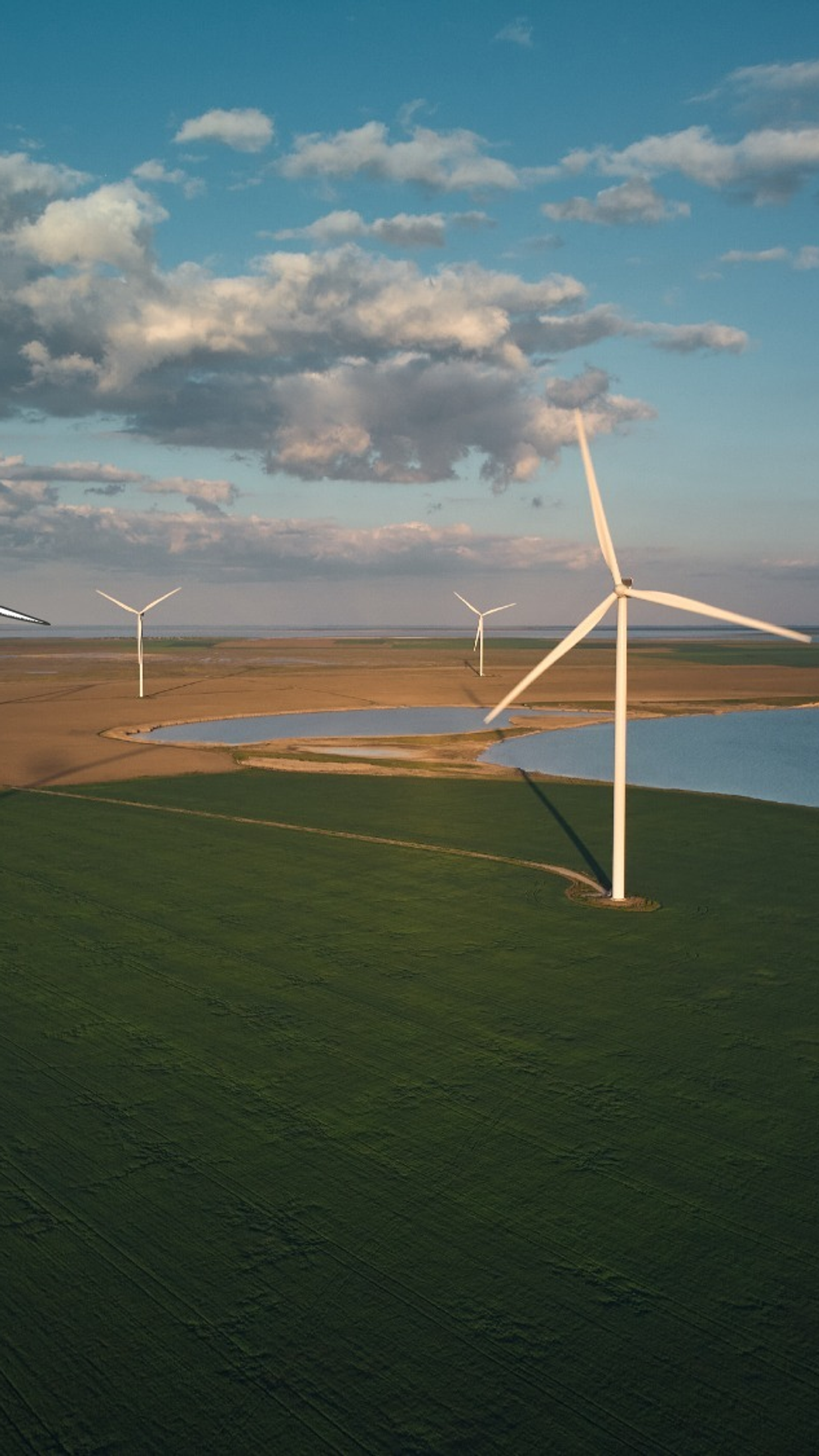Windmills in a green landscape