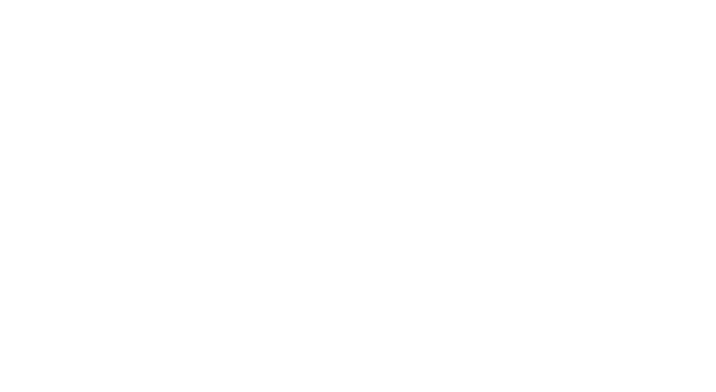 EIFFEL Project Controls