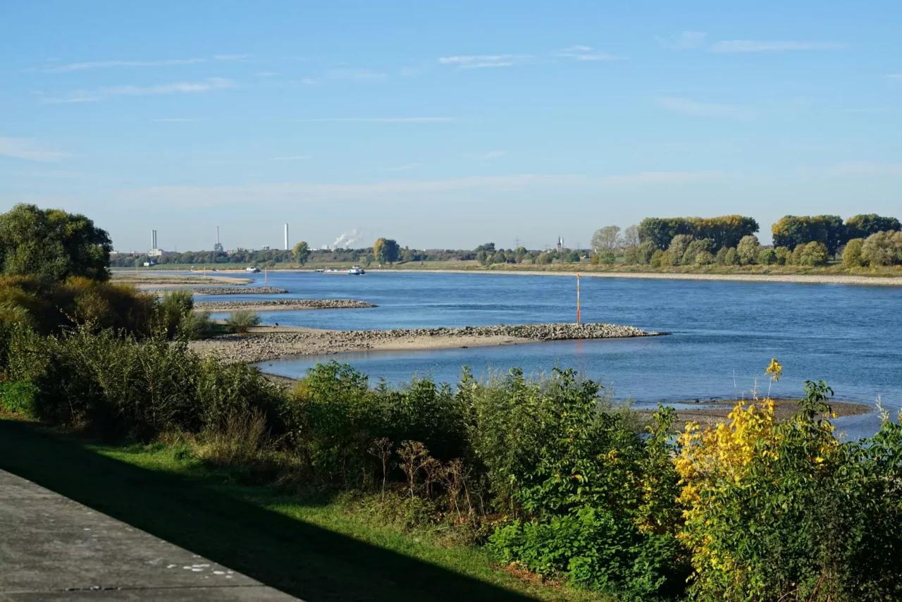 Rhein