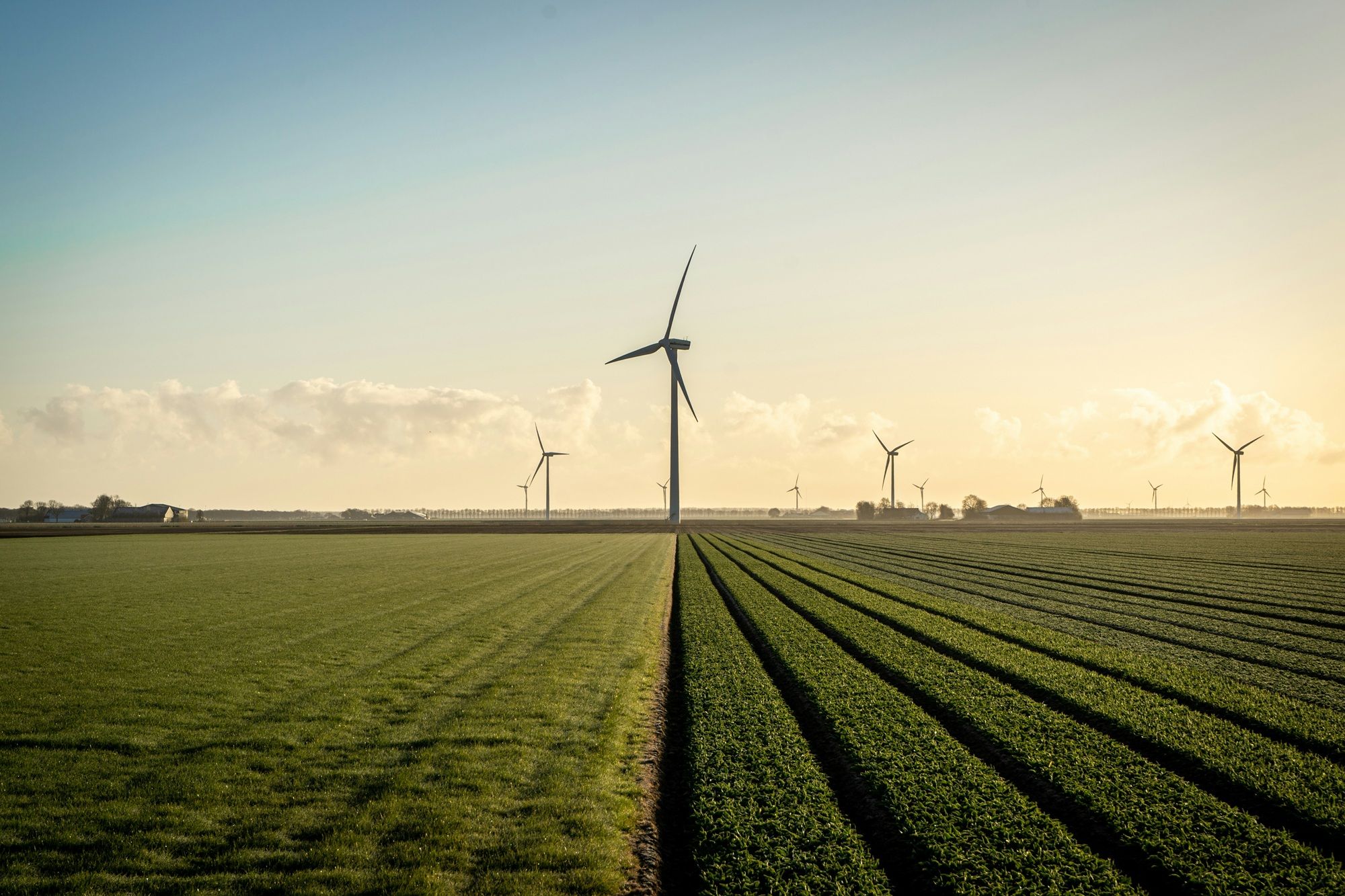 Windmolens in een weiland