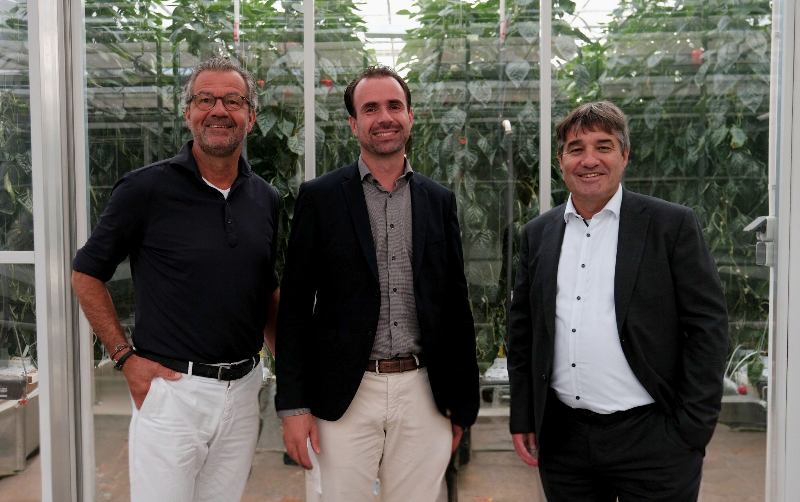 Three men in front of a bell pepper green house