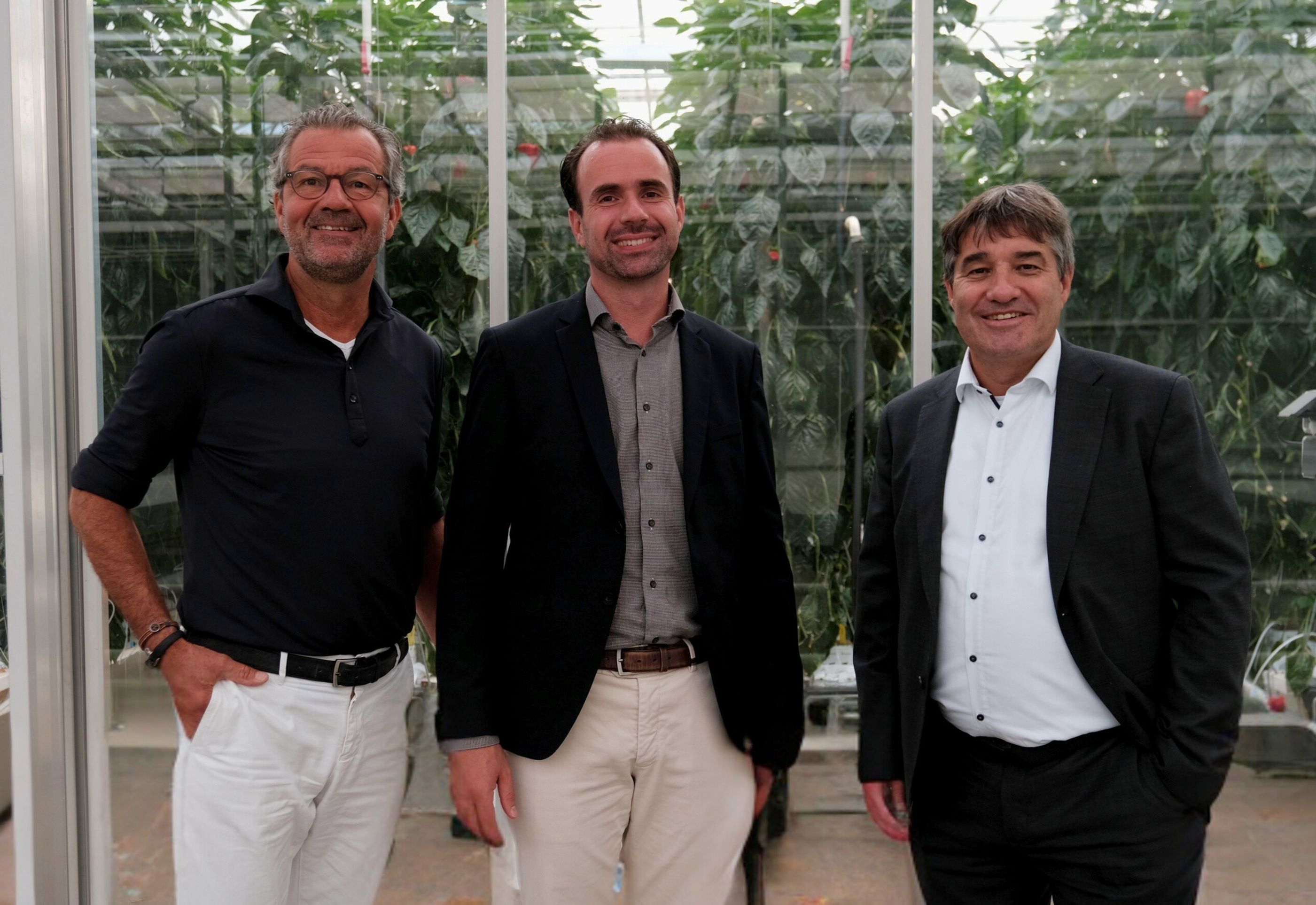 Three men in front of a bell pepper green house