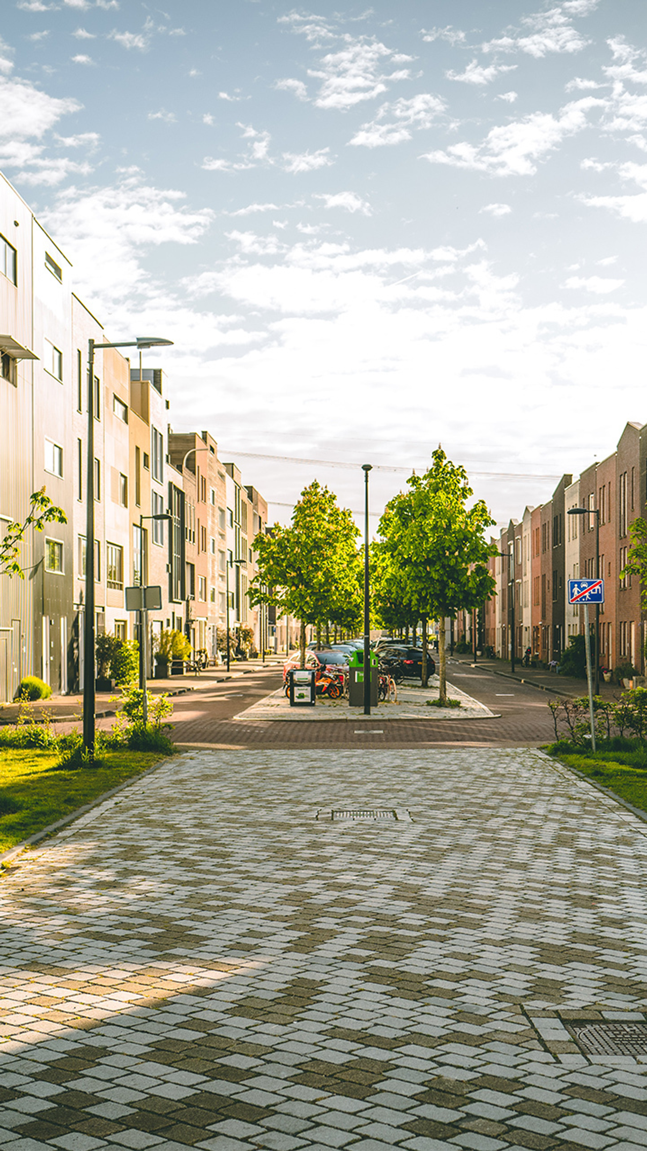Moderne woonwijk met brede straat, jonge bomen, geparkeerde auto’s en eigentijdse bebouwing onder een deels bewolkte lucht.