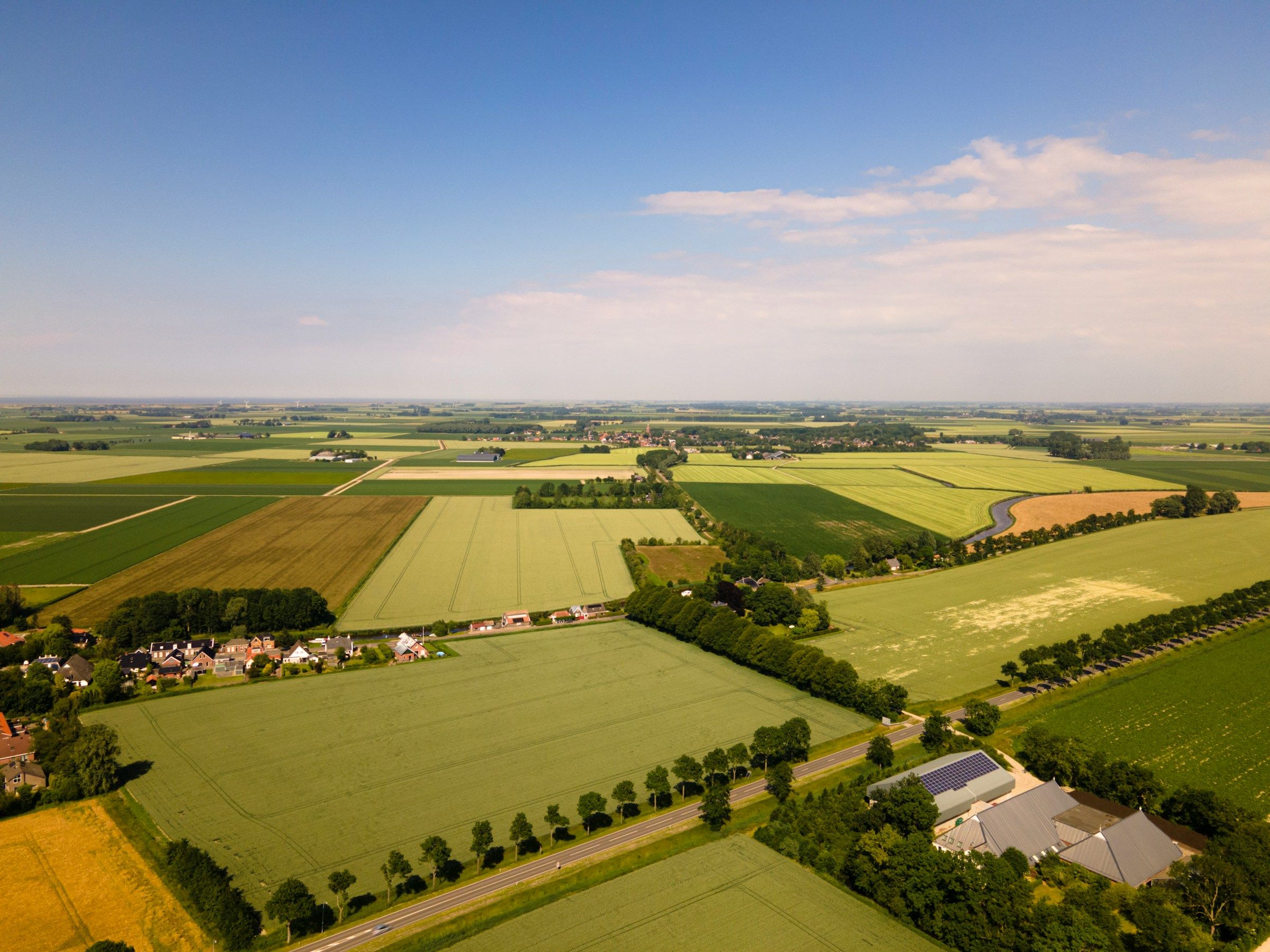 Green fields