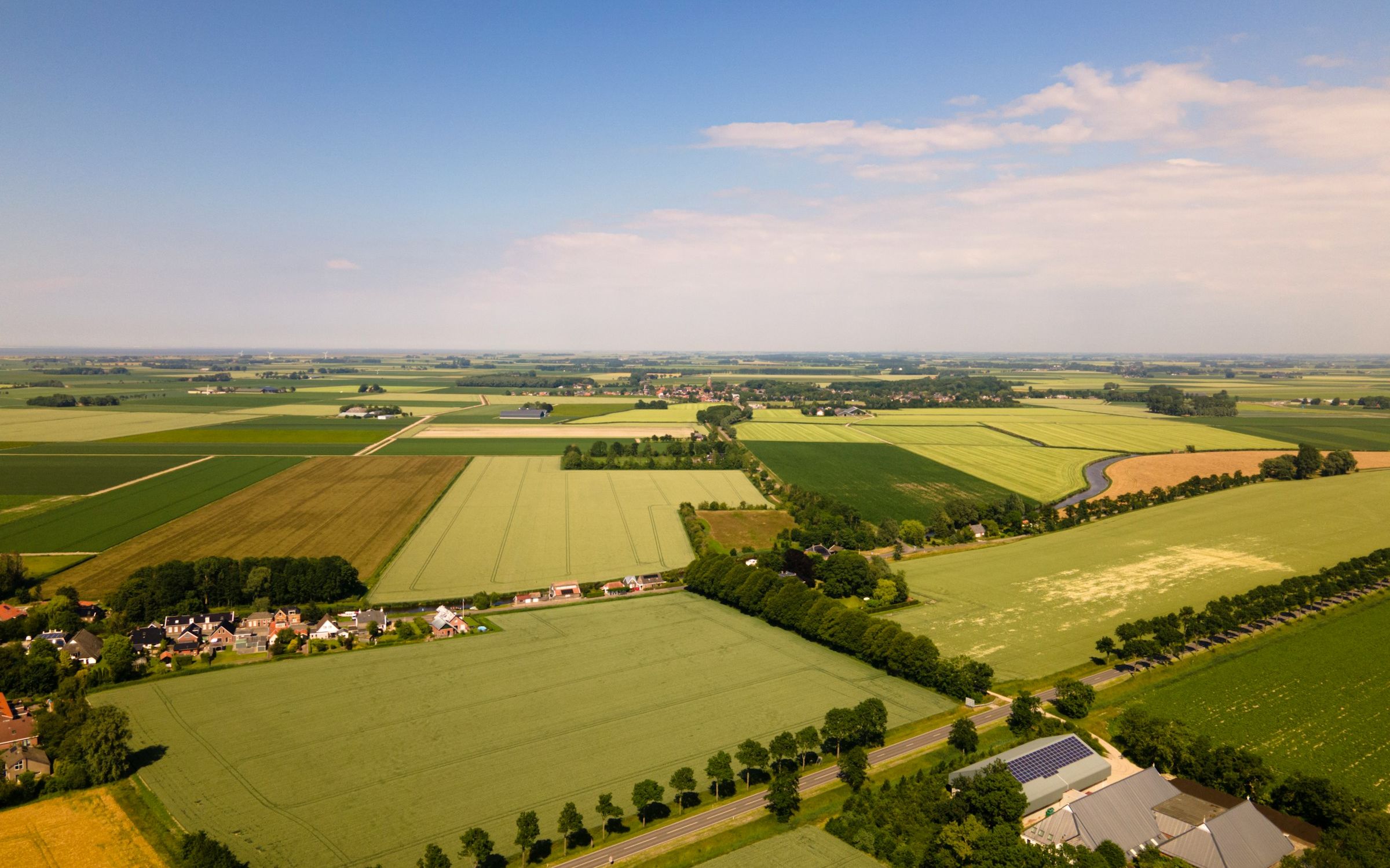 Groene weilanden