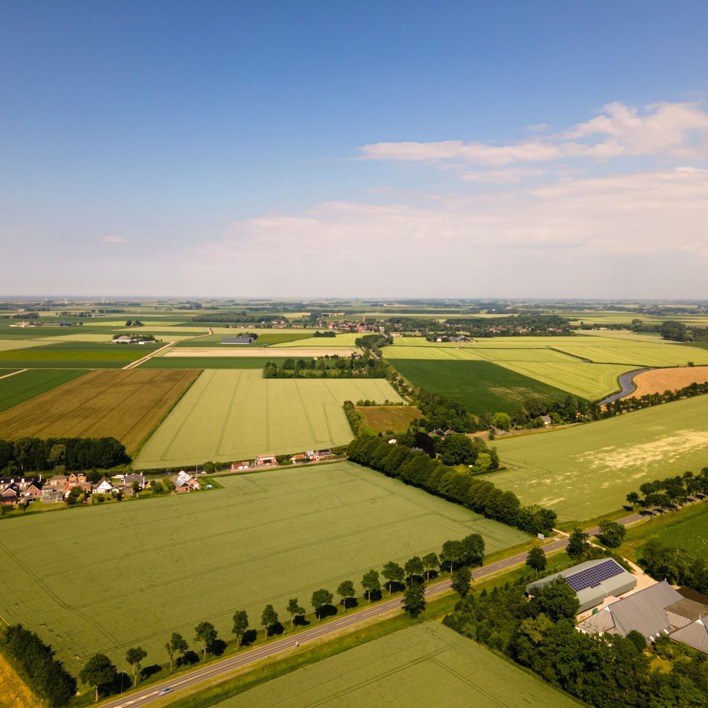 Green fields