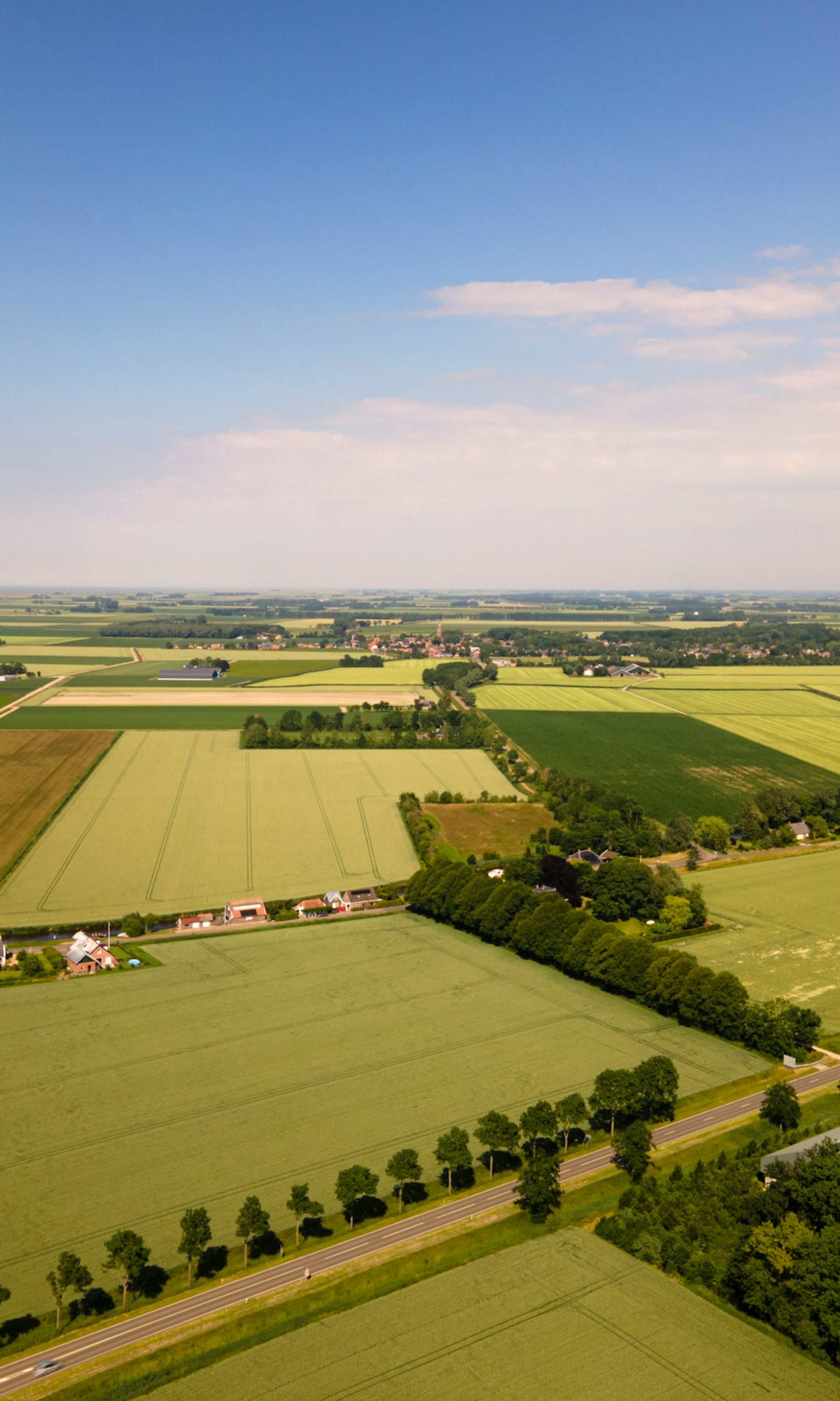 Groene weilanden