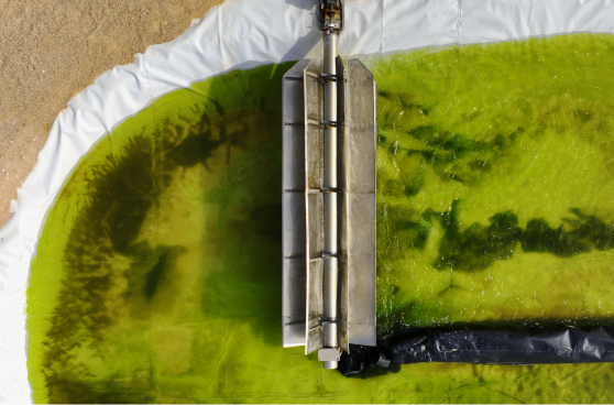 Ariel photograph of a machine processing green water.