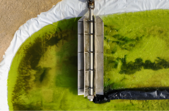 An overhead photograph of algae in a desert. 