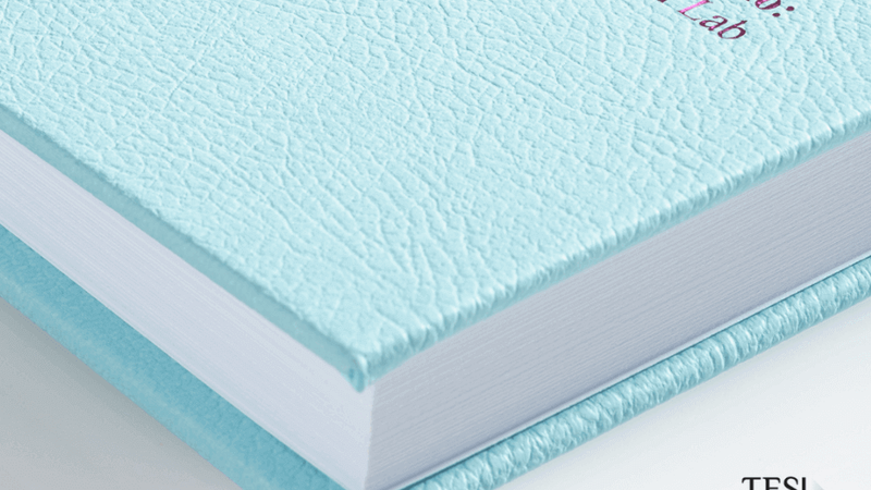 Tesilab - Copertina tesi rigida effetto pelle celeste rosa lucido metallizzato 1