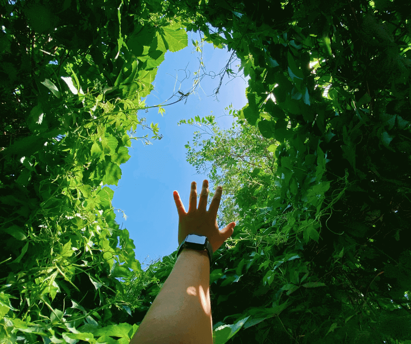 Come stampare una tesi online sempre più sostenibile e green