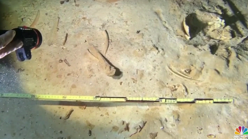Divers Find Ice Age Skeleton During Exploration Of Mexican Cave