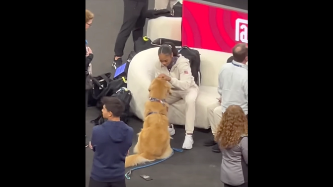Why Does The USA Olympic Gymnastics Team Have A Canine Companion?