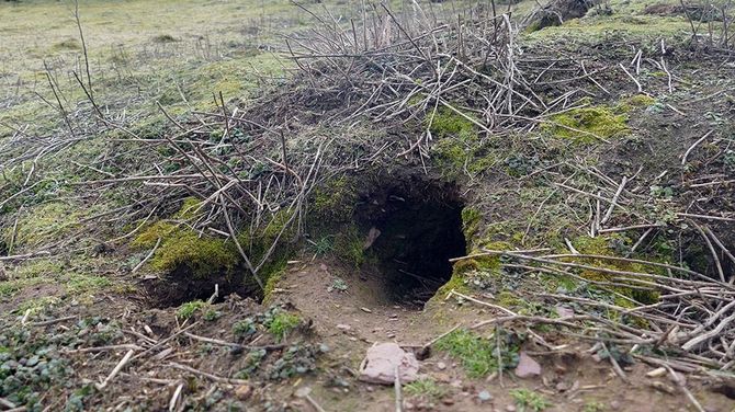 How Rabbits Helped Uncover A Mystery About Stone Age Society