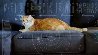 How ‘Taters The Cat’ Changed The Course Of Deep-Space Communication