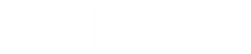 Customix