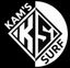 Icon for Kamsurf school and events