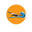 Icon for Windsurfing Aruba - The Blue Highway