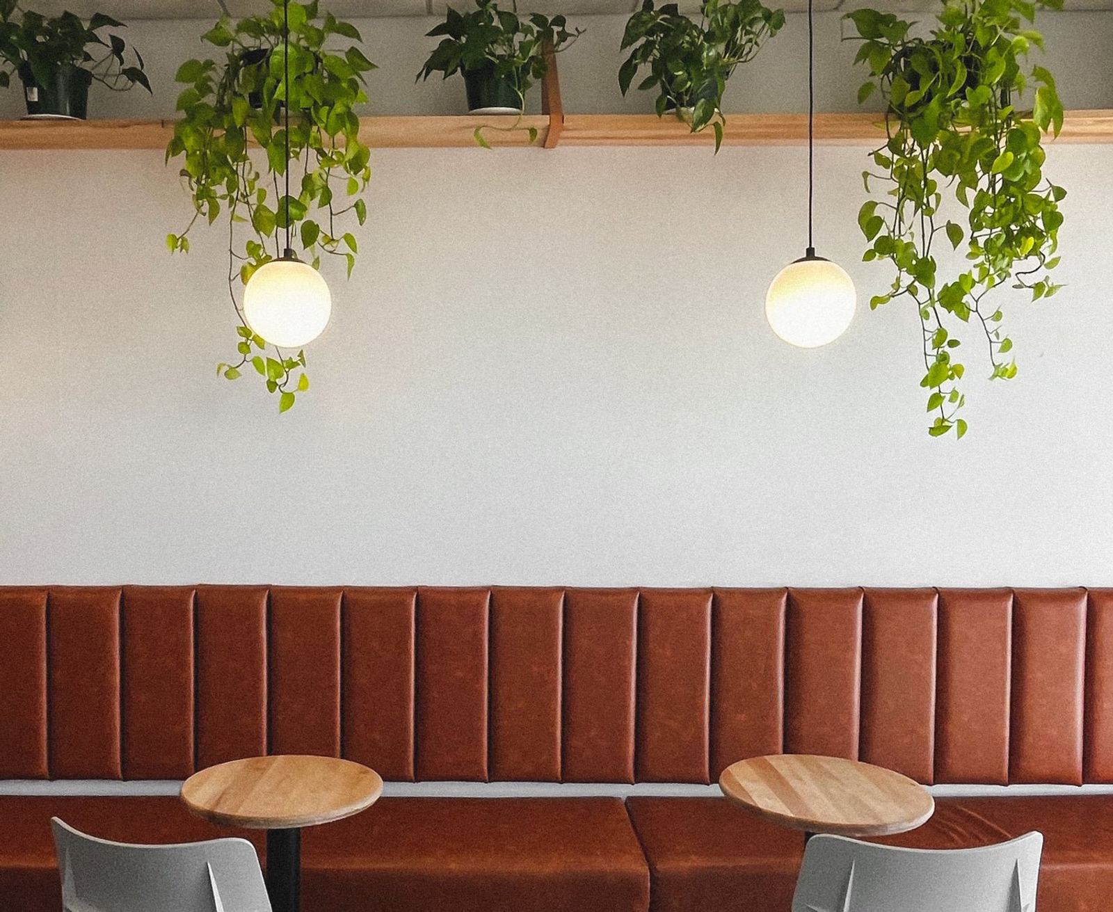 Banquette et suspensions du café