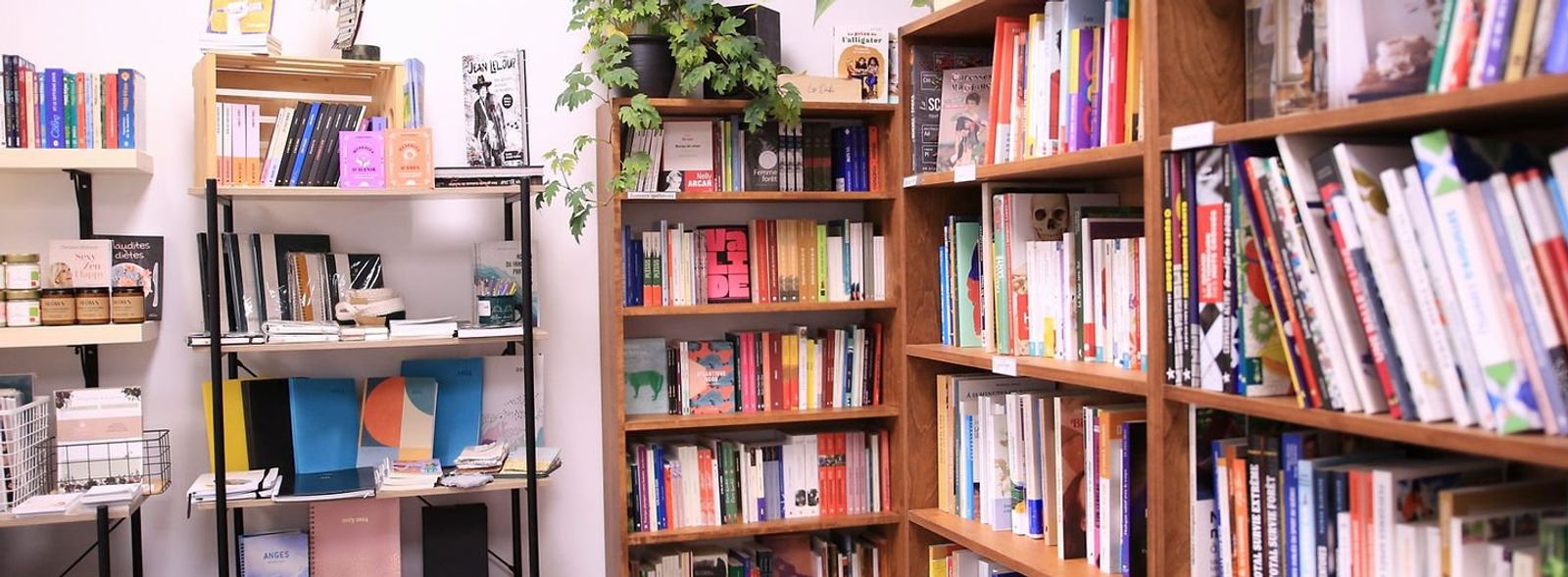 Rayons de livres