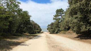 Trail to Plage Naturiste de la Lède France