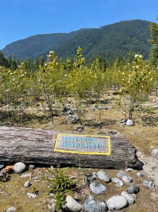 You've arrived! Naturists welcome at Norrish Creek