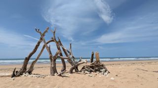 La Grande Plage - Isle D'Oleron