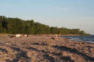 Golden hour at Toronto's busiest nude beach