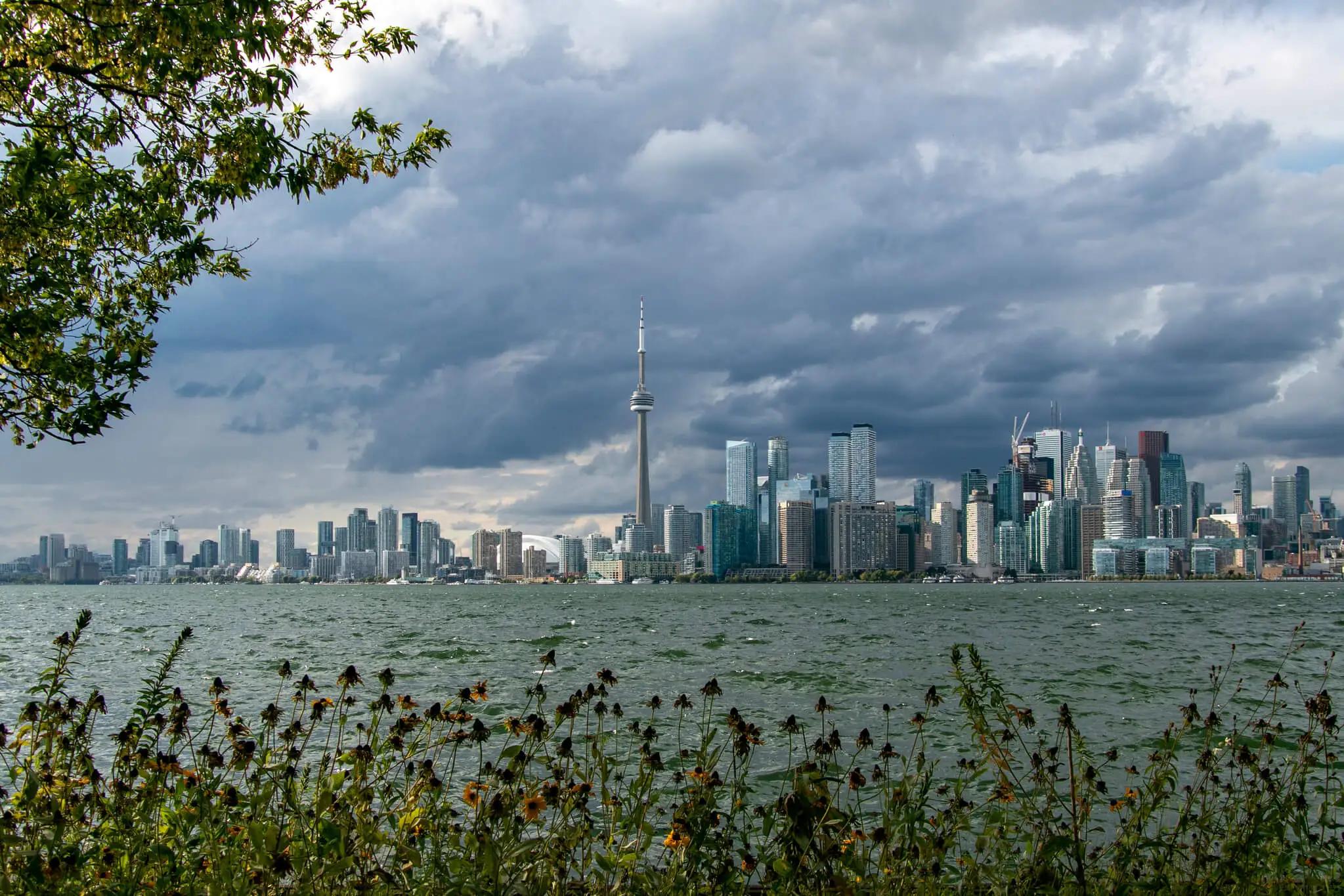 View of the skyline from Hanlan's Point Nude Beach