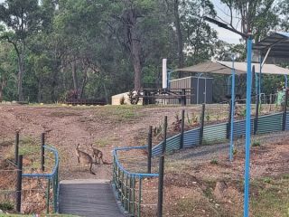 GG's Childers Naturist Retreat - Image 10