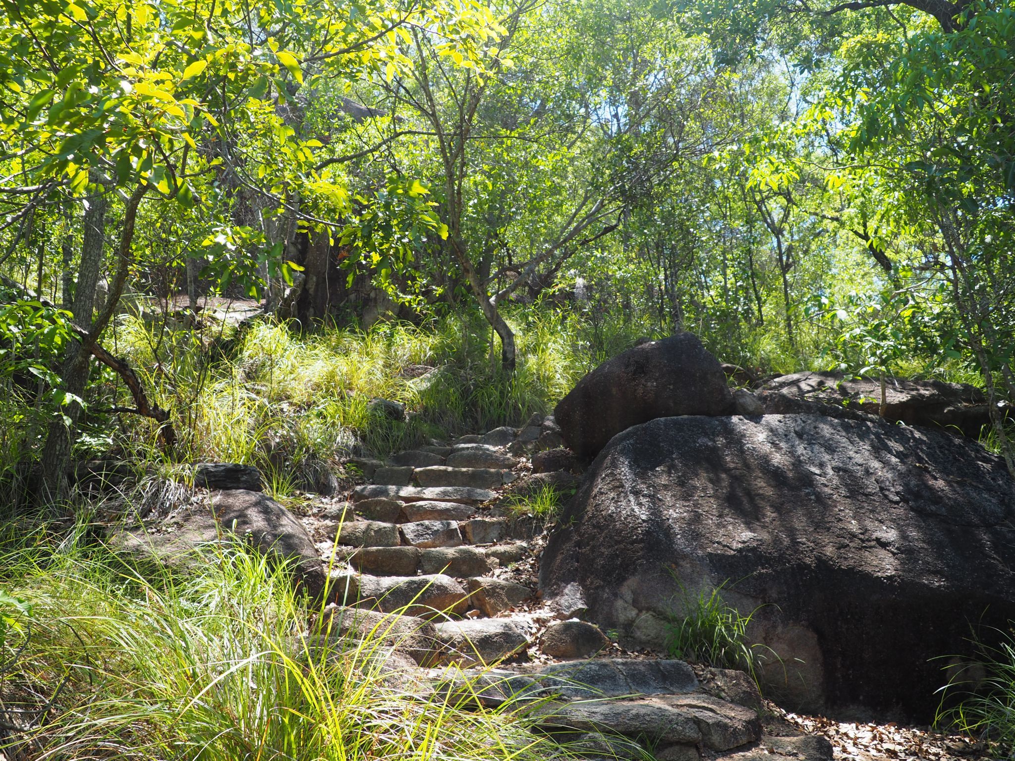 The track to Balding Bay naturist beach