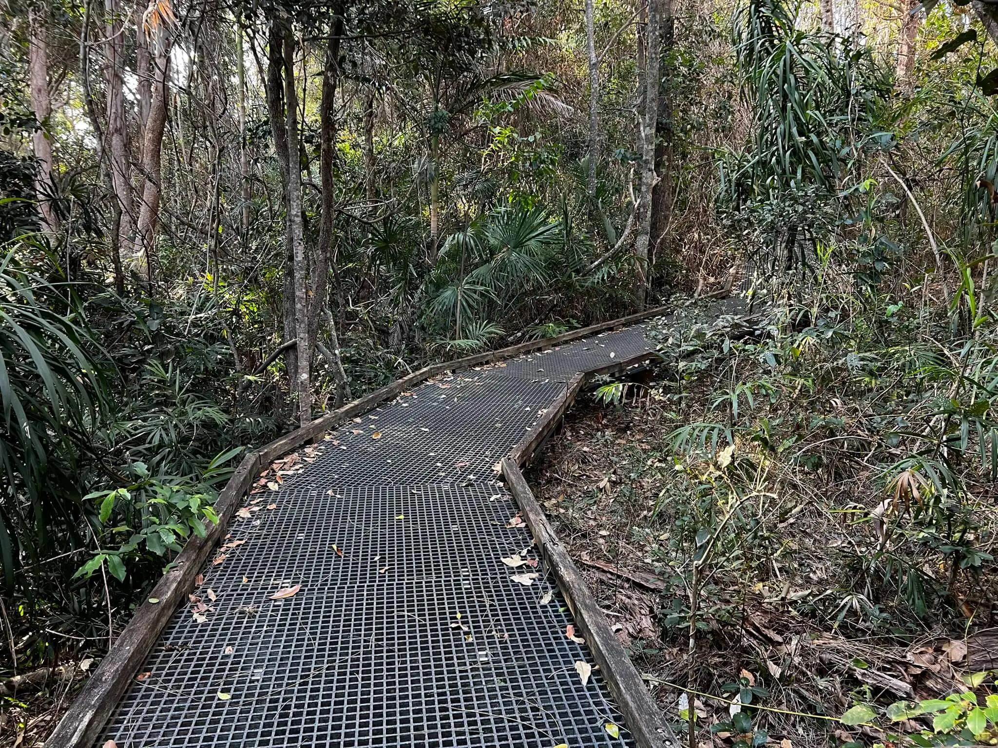 Walking up the trail to the 'secret trail' to Little Diggers Beach