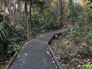 Walking up the trail to the 'secret trail' to Little Diggers Beach