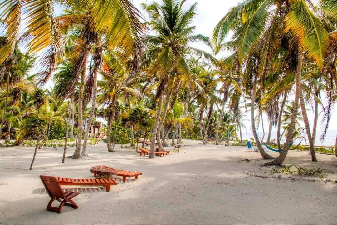 Relaxed beach vibes at Playa Sonrisa Hotel