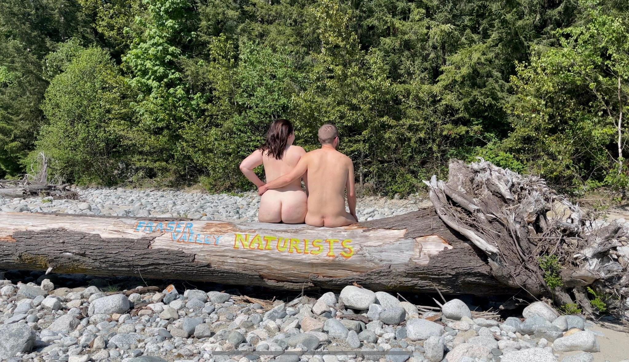 The perfect natural seat at Norrish Creek