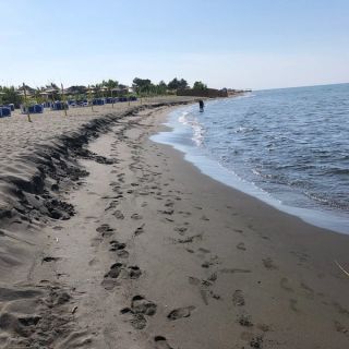 The beach is normally very laidback and quiet here at Ada Bojana
