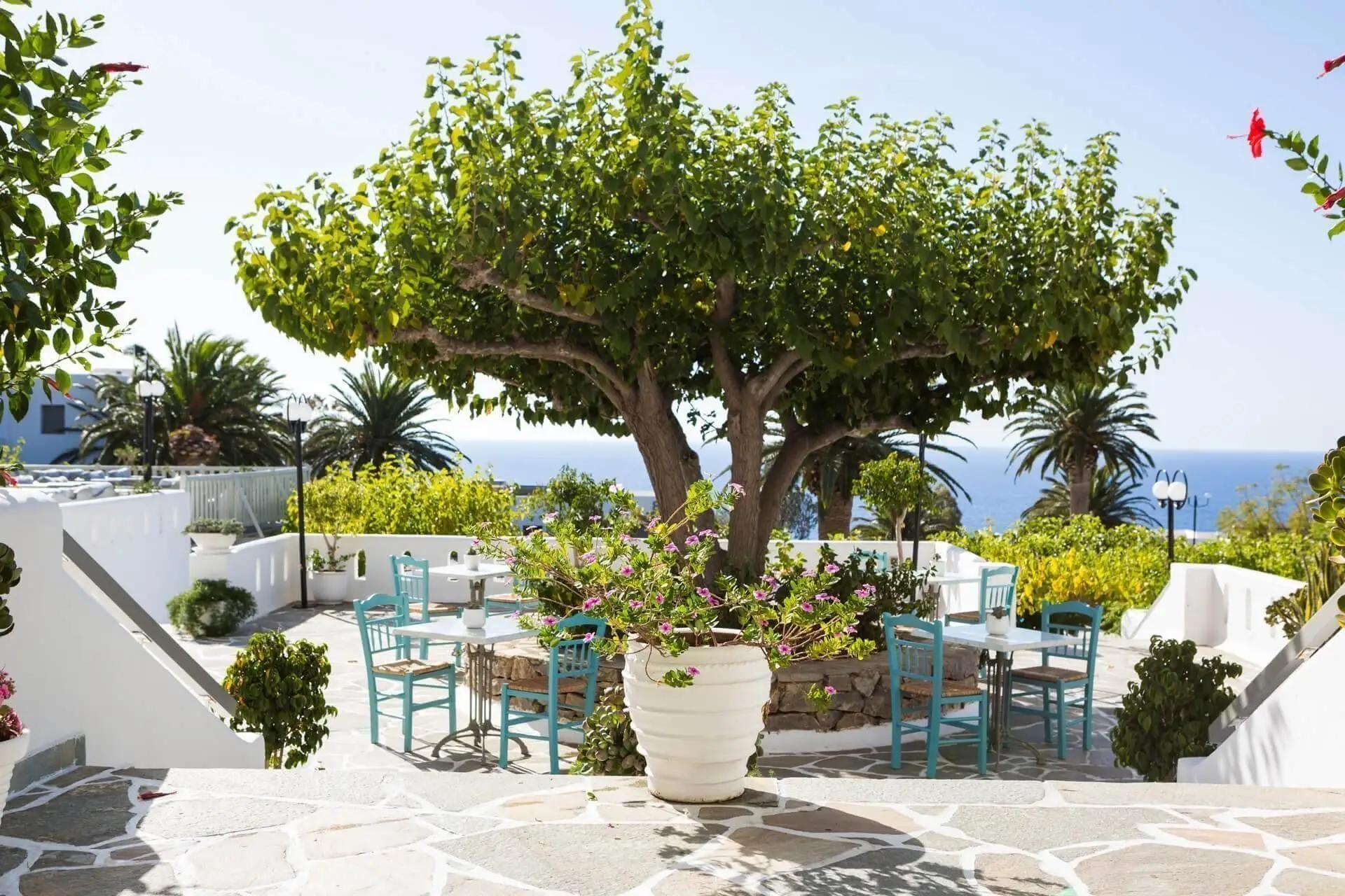Stunning Cretan surrounds of Vritomartis Naturist Resort