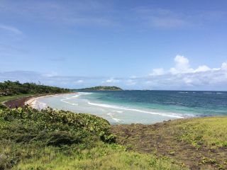 Anse Traubaud - Clothing optional beach in Martinique