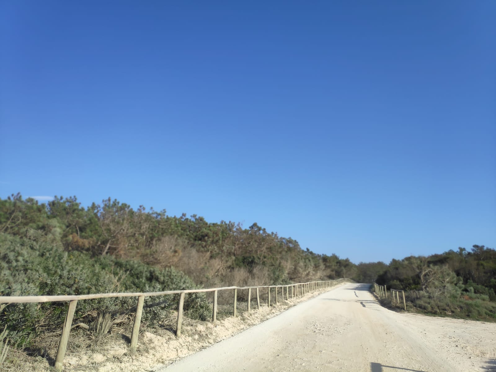 The dirt road to the beach at Praia das Pedras Negras