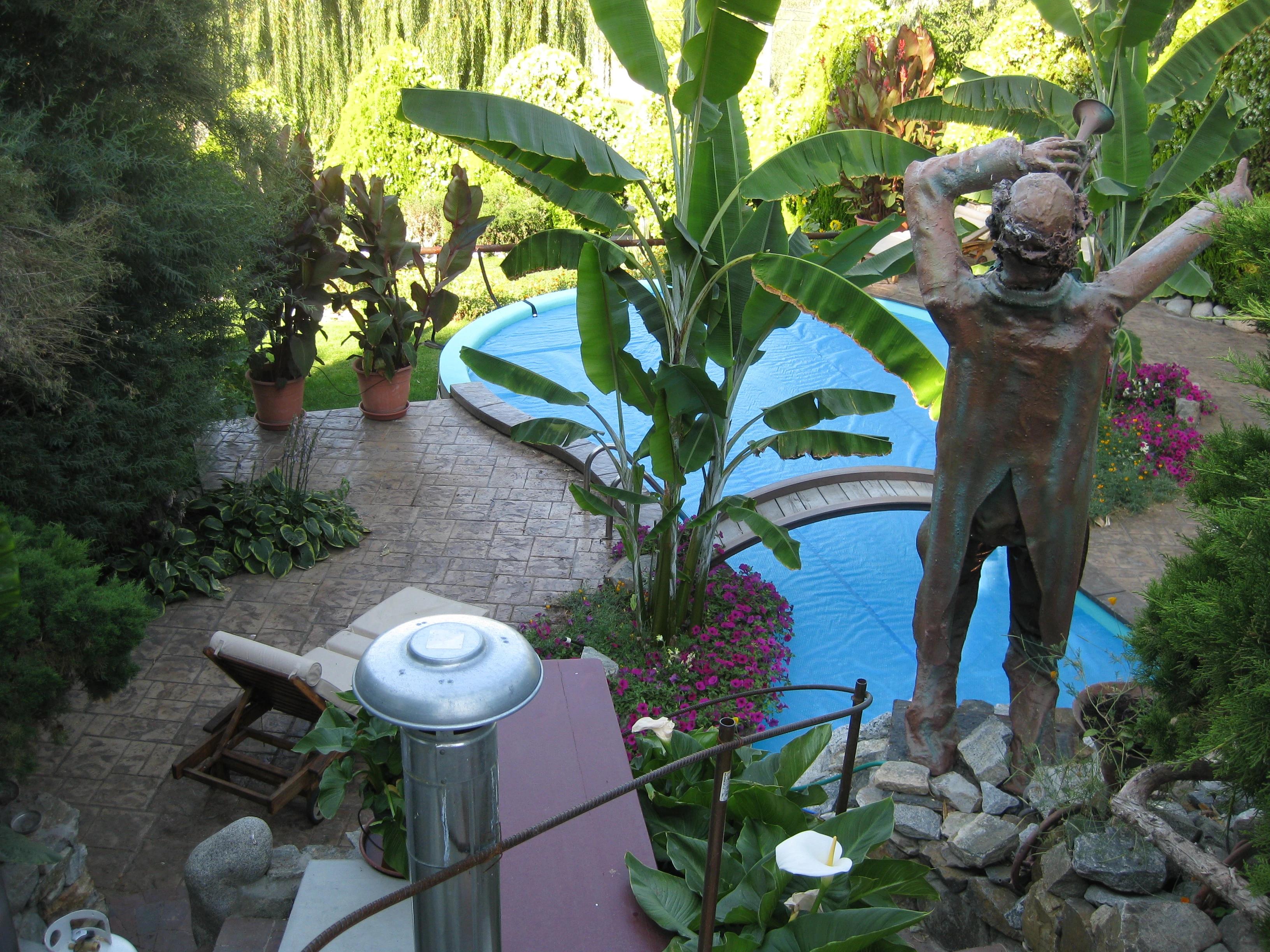 Coady's Cabana Poolside Garden