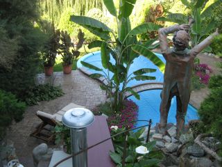 Coady's Cabana Poolside Garden