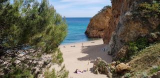Illa Roja - Nude beach in Spain